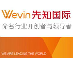 起名領導者與開拓者 市場營銷策劃的雙翼齊飛